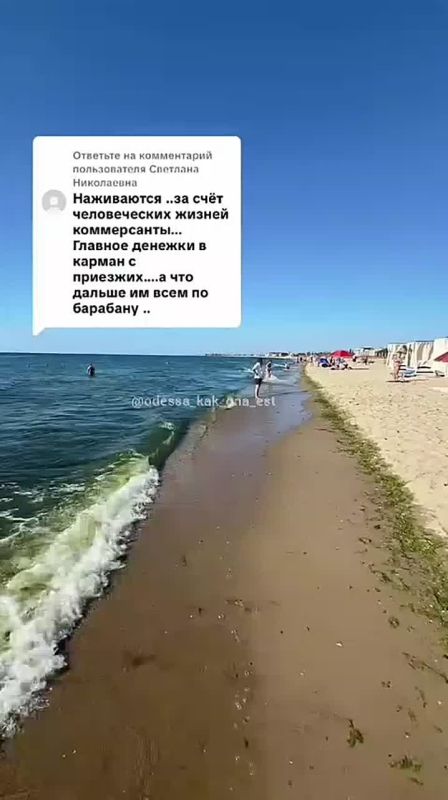 «Вас сюда не звали»: бизнесмен из Затоки прокомментировал гибель туристов от взрыва мин