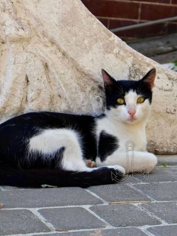       ?    !  ,  !     ,   ?