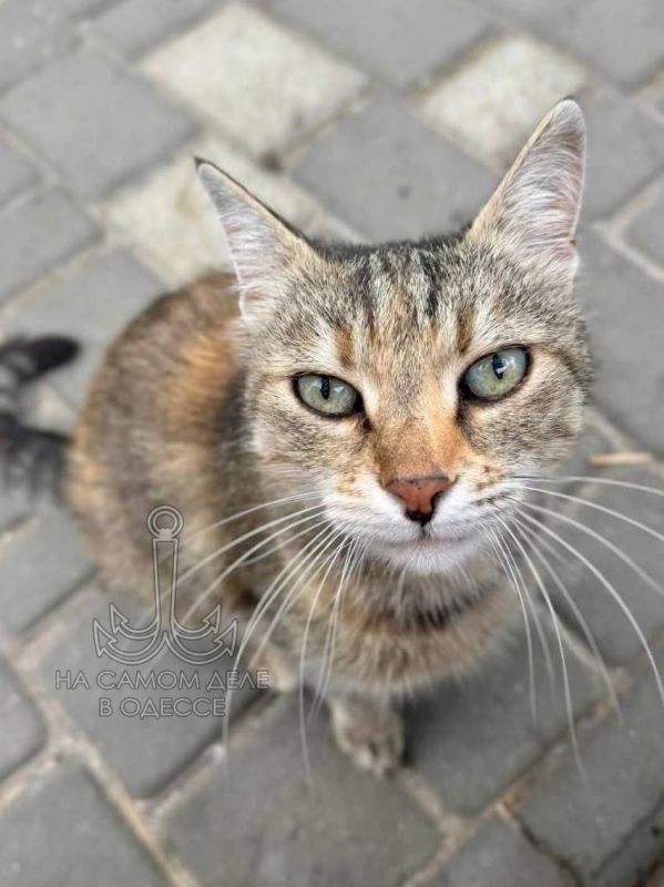       ?    !  ,  !     ,   ?