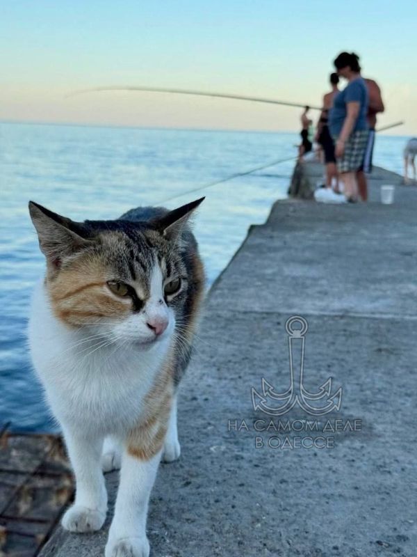       ?    !  ,  !     ,   ?