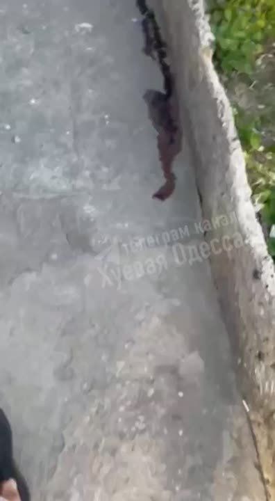 В Одессе мужчина словил «белочку» и выпал из окна высотки