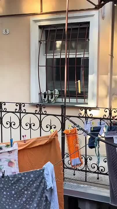 Таки да, Одесса-мама проснулась