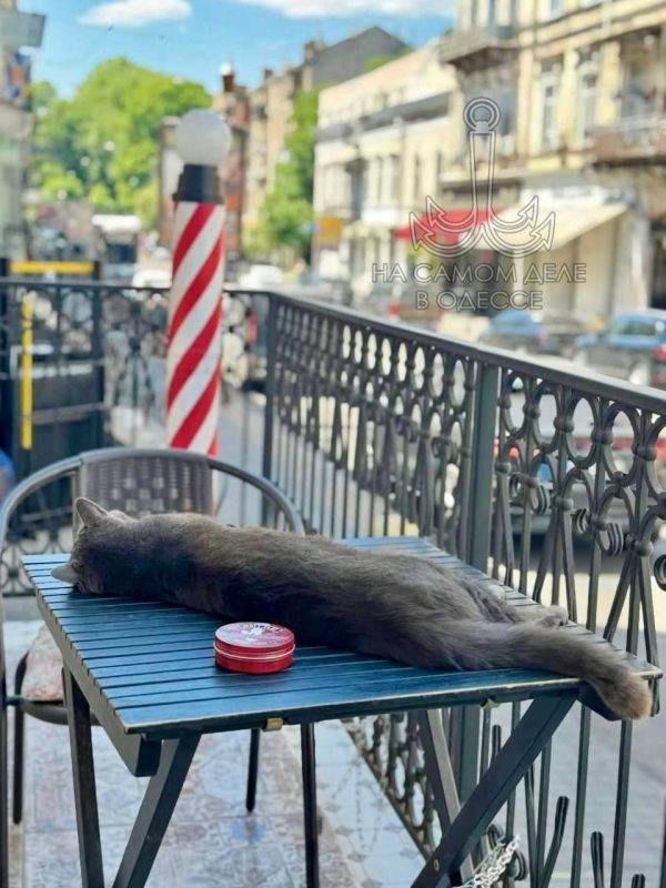       ?    !  ,  !     ,   ?