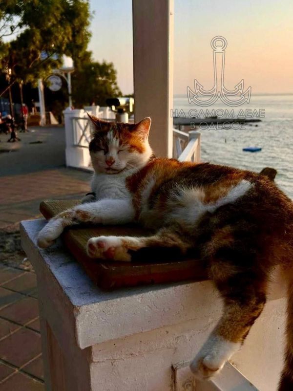       ?    !  ,  !     ,   ?