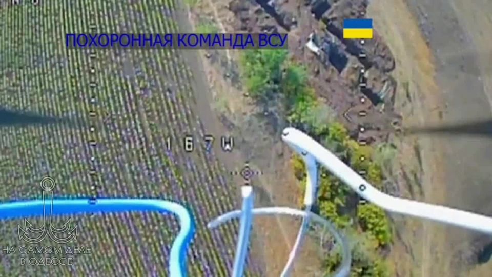 Даже на войне есть место человечности