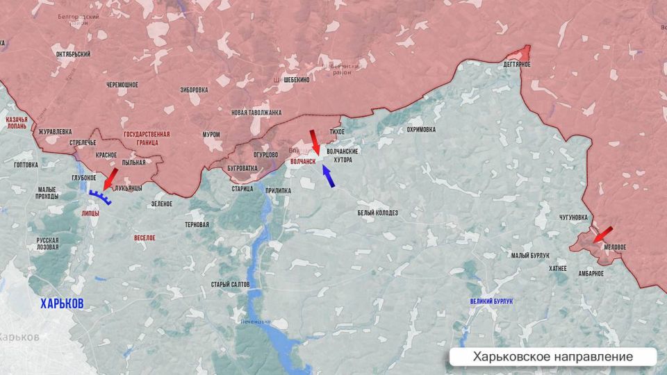 Олег Царёв: Фронтовая сводка 20 августа Олег Царёв: Фронтовая сводка 20 августа