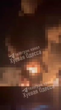 Прилёты гераней в Измаиле Одесской области