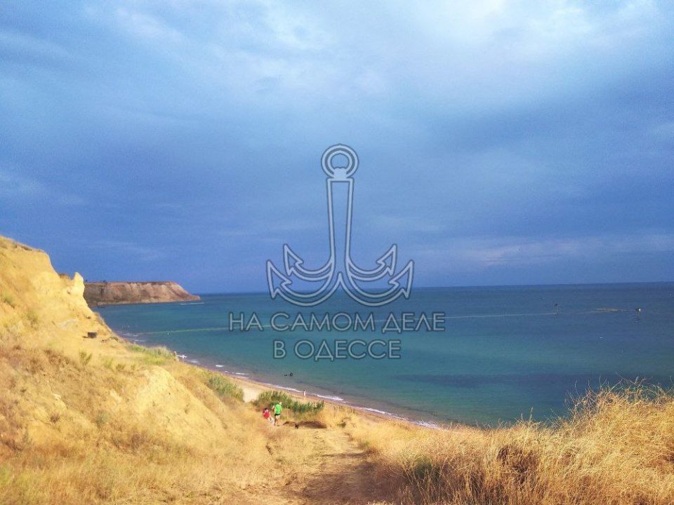 Чем ты так прекрасно? Оно не просто из воды Чем ты так прекрасно? Оно не просто из воды