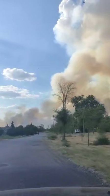 Сильно горит лесничество возле Арциза