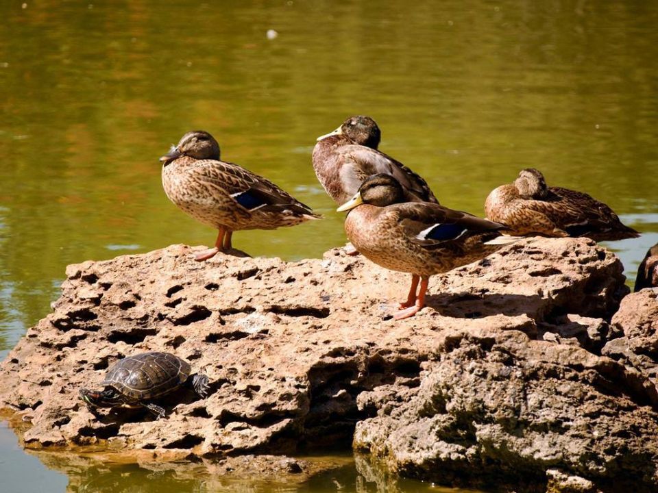 Так сегодня выглядит одесский Парк Победы