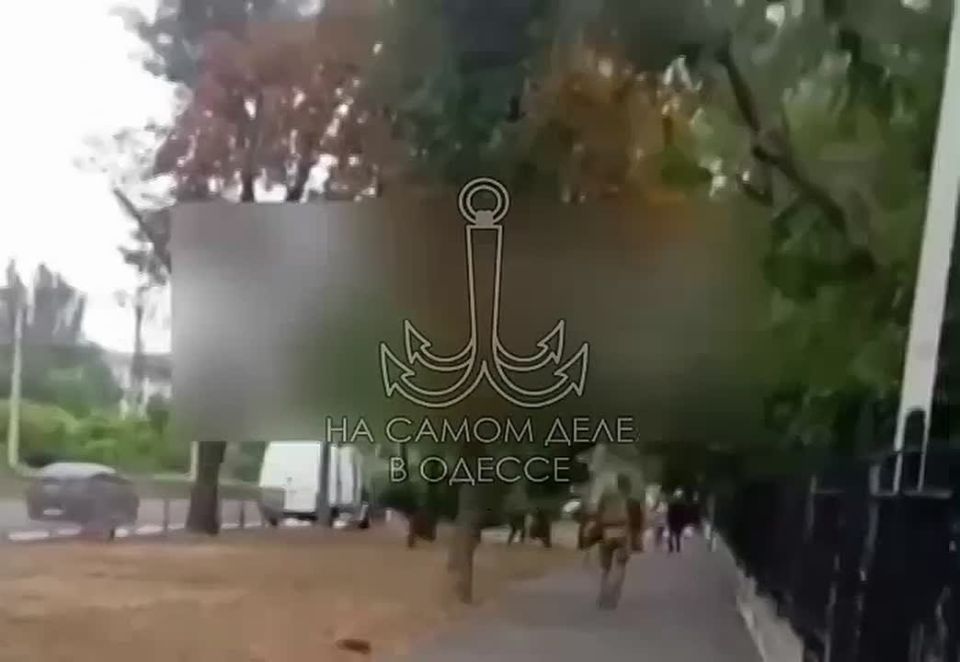 В День "независимости" сотрудники ТЦК открывают огонь по людям, которые не хотят садиться в бусик по своей воле