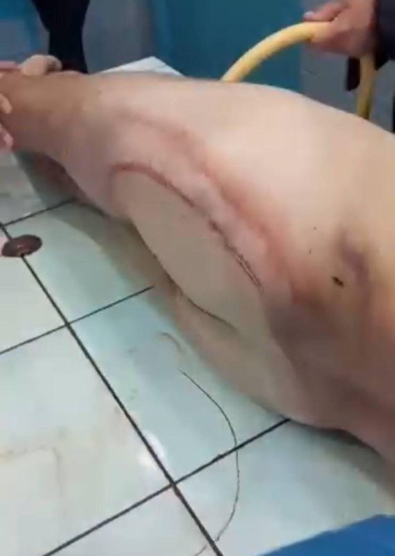 Без признаков насильственной смерти Без признаков насильственной смерти