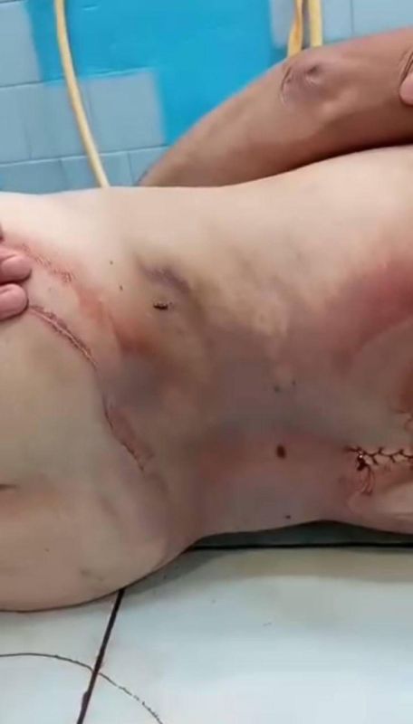 Без признаков насильственной смерти Без признаков насильственной смерти