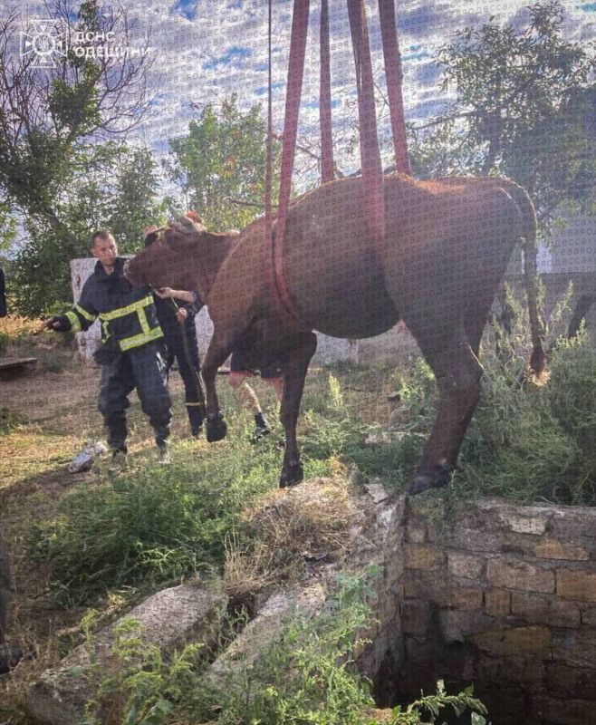 � ����������� ������ ������ ����� � ���