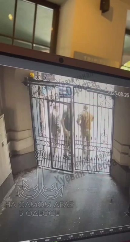 Полностью согласны со словами оратора