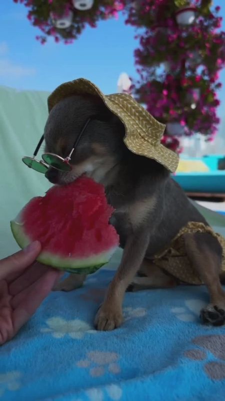 Таки да, Одесса-мама проснулась