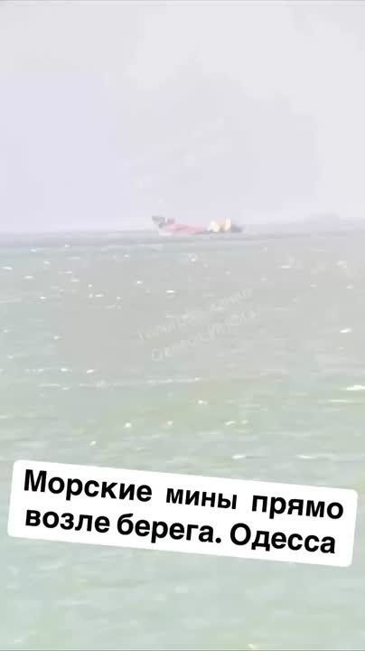  : ,      ,     
