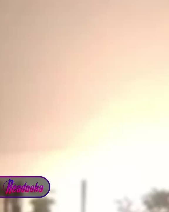  :    ,           