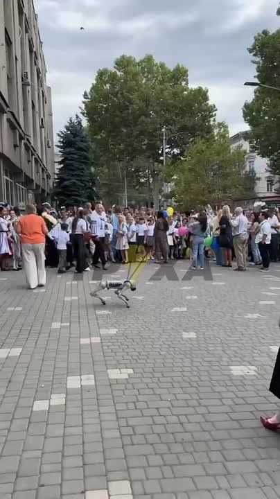 1 сентября в Одессе школьников встречал робопёс