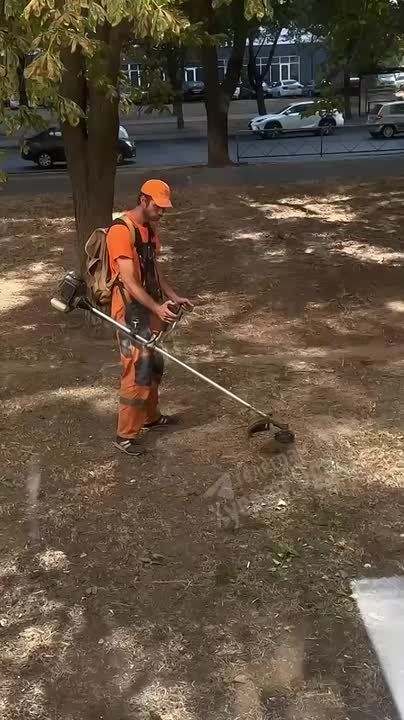 Коммунальщик в Одессе косил пыль