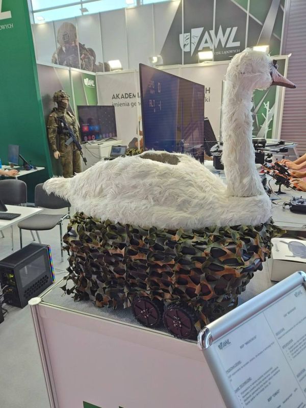 �������� �������� ����������� ��������� ���� ������� ����