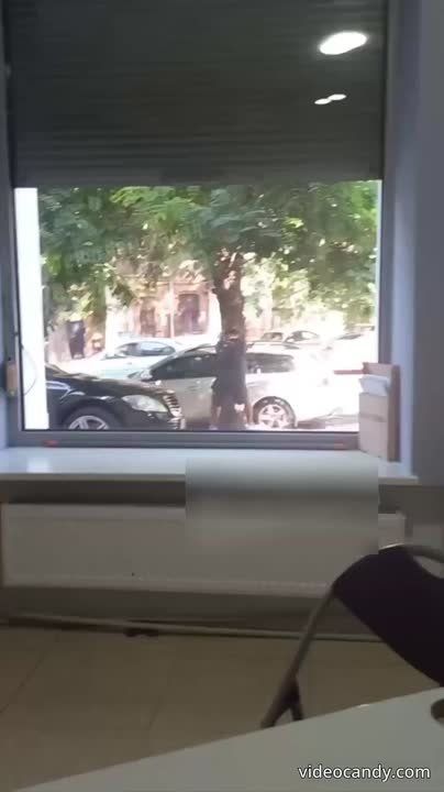 В Одессе мужик изнасиловал дерево