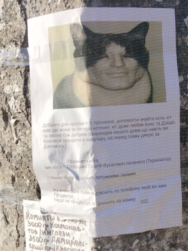 � ������ ���� ���� �� ������ ����������