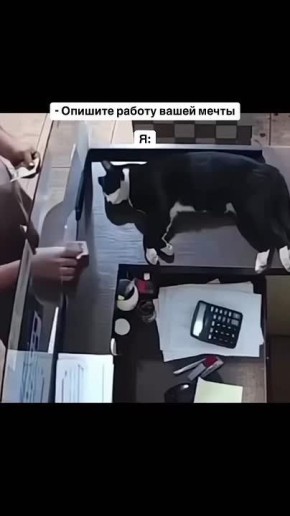  , !.      ,            ,     -    !     ...