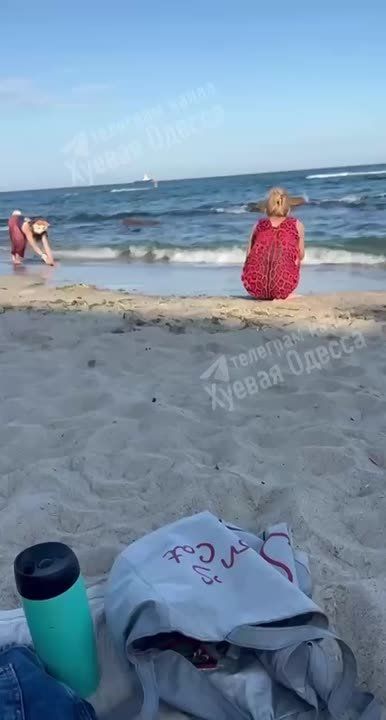 Вы думали квадроберы вымерли? А вот и нет