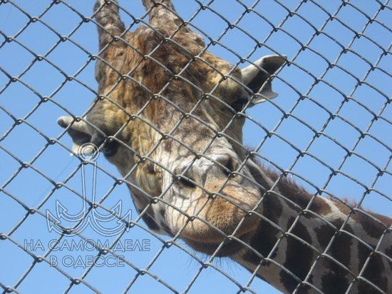 Главное – не ошибиться стороной