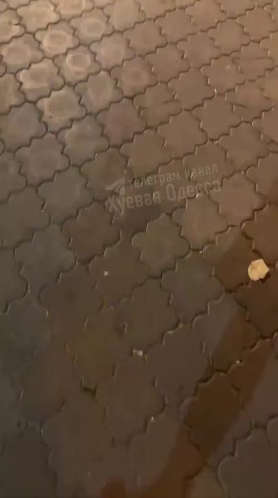 В Одессе алкоголик плакал из-за смерти Джорджио Армани