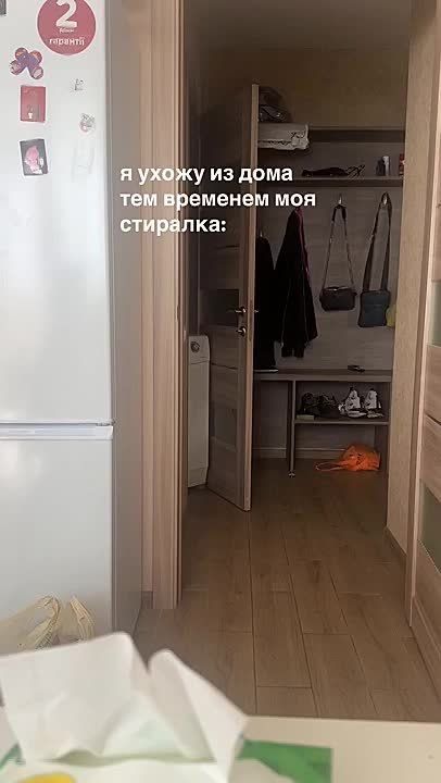 Когда стиралка понимает, что она создана не для рутины, а для приключений