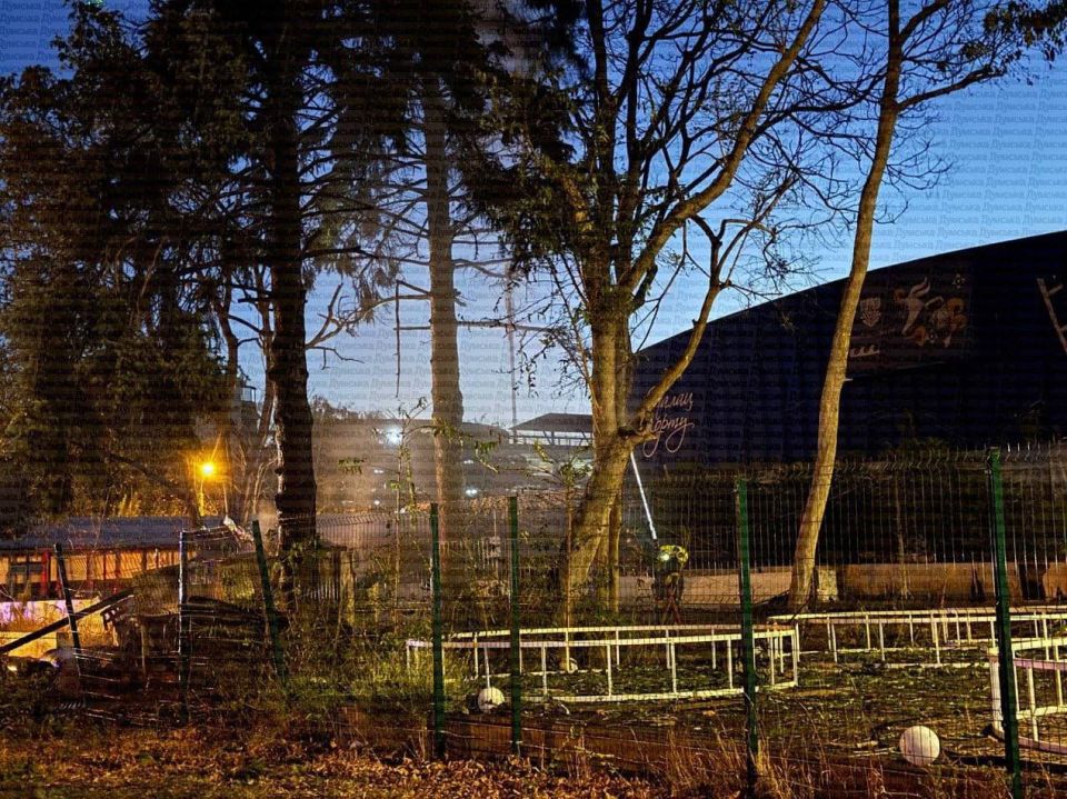 Юлия Витязева: Сначала подумала, склады какие-то Юлия Витязева: Сначала подумала, склады какие-то