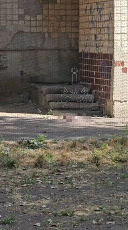 Шок в Одессе: 39-летняя женщина выбросила новорождённого ребёнка из окна 5-го этажа Шок в Одессе: 39-летняя женщина выбросила новорождённого ребёнка из окна 5-го этажа