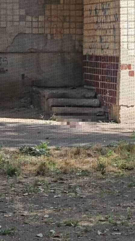 В Одессе девушка родила ребенка и выбросила его с 5-го этажа общежития, ребенок мертв, — местные СМИ В Одессе девушка родила ребенка и выбросила его с 5-го этажа общежития, ребенок мертв, — местные СМИ