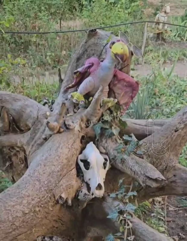 Кажется в Лузановке решили призвать птеродактилей в очках