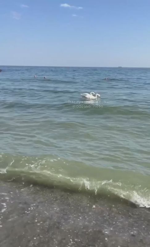 Начнем это утро с прекрасного и созерцательного