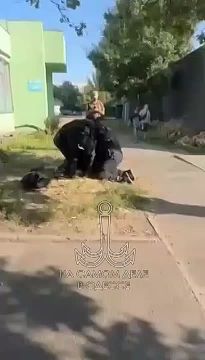 Черкассы. Спокойный город