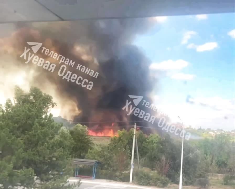 В Измаильском районе полыхают полевые пожары
