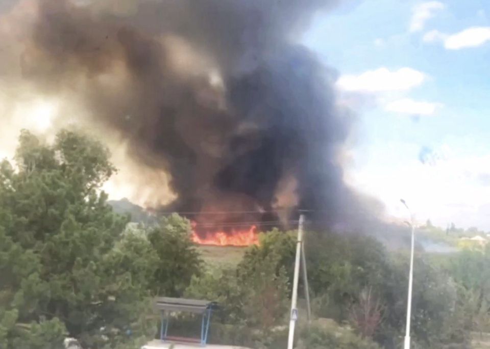 В Измаильском районе сегодня горел камыш, ощущения неописуемые