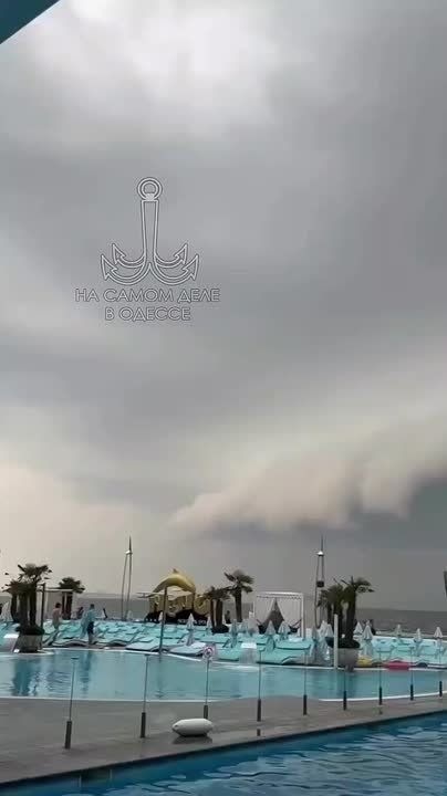 Таки да, Одесса-мама проснулась