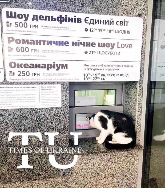 В Одессе кот пришел в кассу дельфинария за билетами