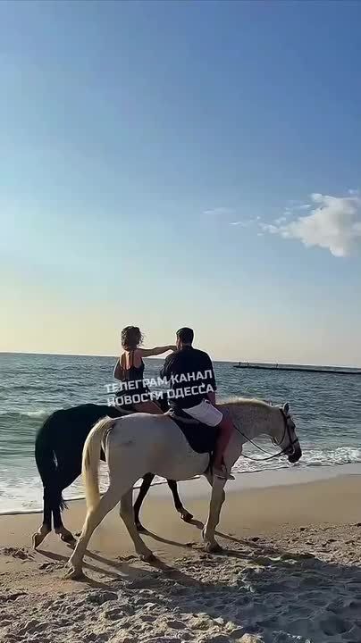 Не так страшна фотосессия на лошадях, как йога на пляжах Одессы
