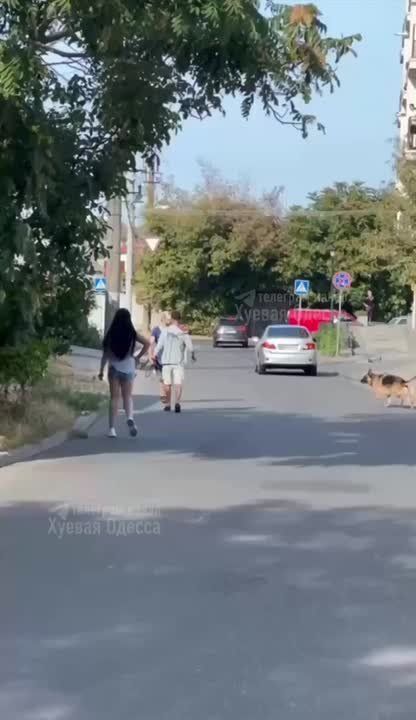 В Одессе шизик бросался на людей с ножом