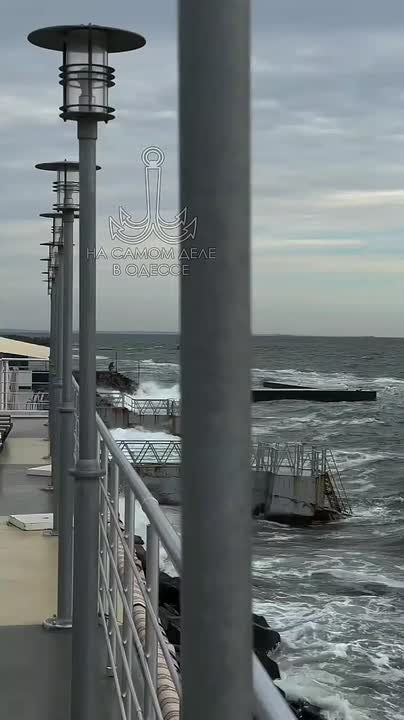 Таки да, Одесса-мама проснулась