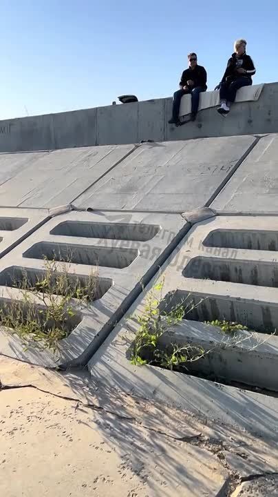 В Одессе сформировалось крысиное королевство