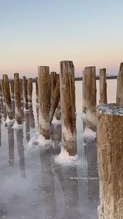 Таки да, Одесса-мама проснулась