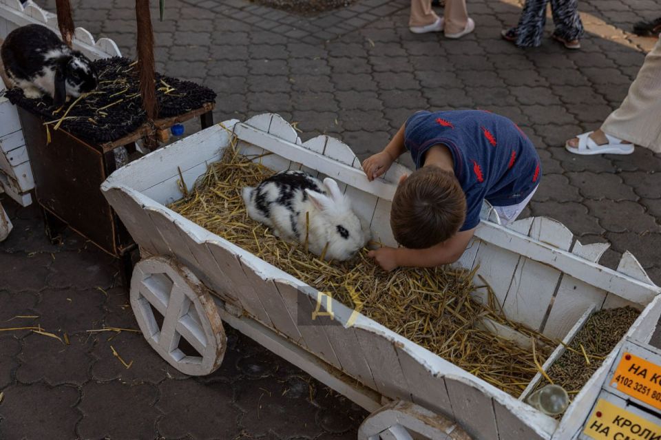 В Одессе на Дерибасовской провели рейд по владельцам развлекающих животных