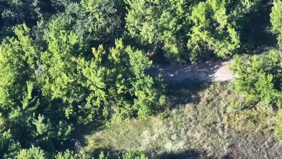 Одесский пророк еще в мае предсказал массовые сдачи ВСУ