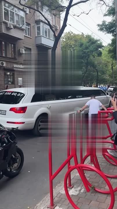 В Одессе с диджеями, лимузином и в дорогом ресторане отметили день рождения собачки